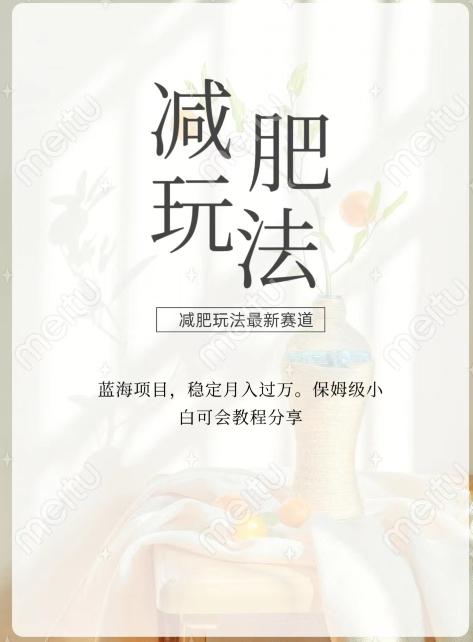 减肥流量主新玩法，轻松月入1W，可矩阵操作收入翻倍-俗人圈网创