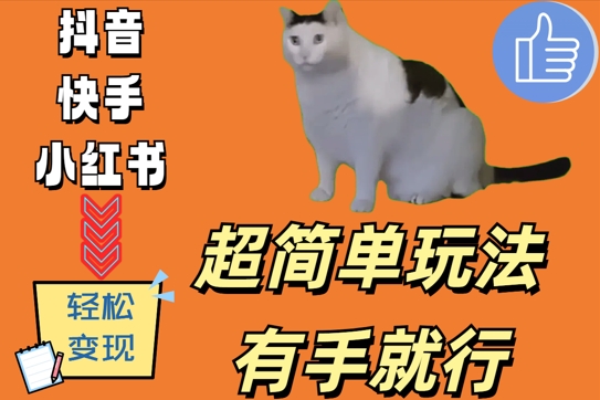 超简单玩法,有手就行,靠猫咪视频日入500+【揭秘】-俗人圈网创