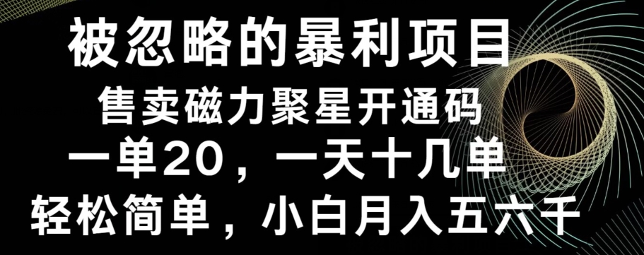 被忽略的暴利项目！售卖磁力聚星开通码，一单20，一天十几单，轻松月入五六千-俗人圈网创