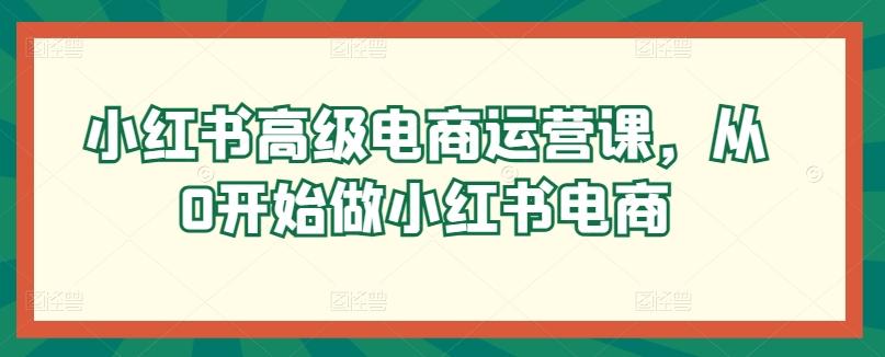 小红书高级电商运营课，从0开始做小红书电商-俗人圈网创