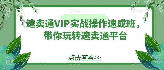 速卖通VIP实战操作速成班，带你玩转速卖通平台-俗人圈网创