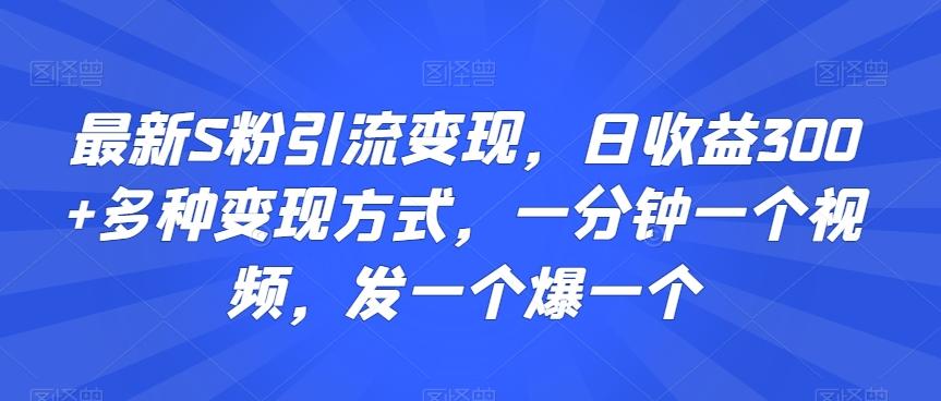 最新S粉引流变现，日收益300+多种变现方式，一分钟一个视频，发一个爆一个【揭秘】-俗人圈网创