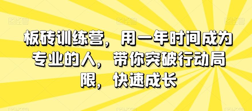 板砖训练营，用一年时间成为专业的人，带你突破行动局限，快速成长-俗人圈网创