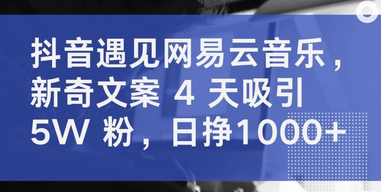 抖音遇见网易云音乐，新奇文案 4 天吸引 5W 粉，日挣1000+【揭秘】-俗人圈网创