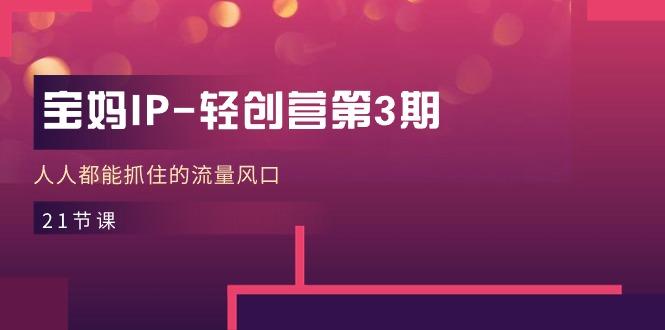 宝妈IP-轻创营第3期,人人都能抓住的流量风口(21节课-俗人圈网创