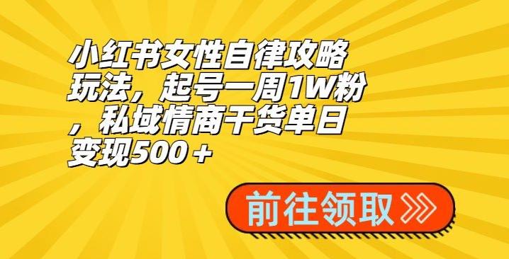 小红书女性自律攻略玩法,起号一周1W粉,私域情商干货单日变现500+-俗人圈网创