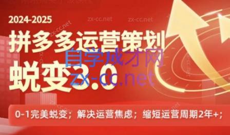 大力老师·2024拼多多运营策略蜕变3.0-俗人圈网创