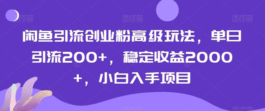 闲鱼引流创业粉高级玩法，单日引流200+，稳定收益2000+，小白入手项目-俗人圈网创