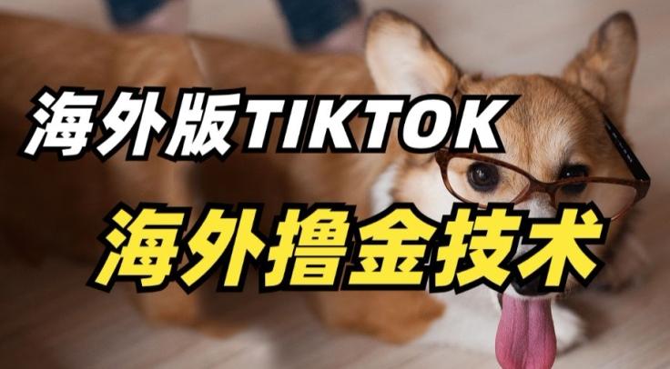 抖音海外版tiktok撸金技术，这个风口行业，赚钱真的不难【揭秘】-俗人圈网创