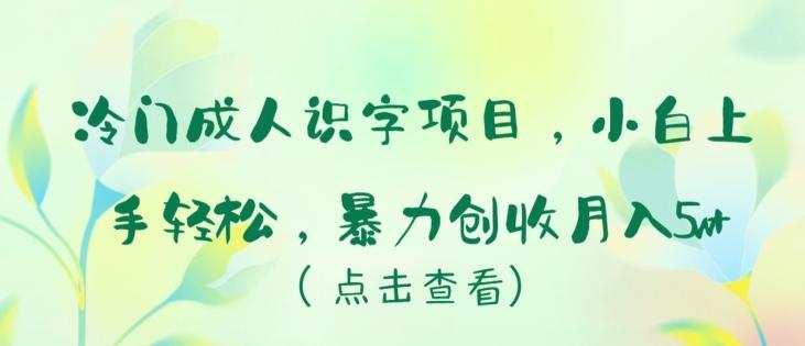 冷门成人识字项目，小白上手轻松，暴力创收月入5w+【揭秘】-俗人圈网创
