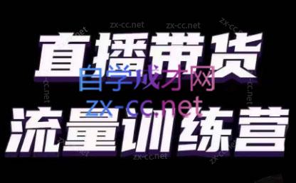 婉婉·直播带货课程系列合集(更新8月)-俗人圈网创