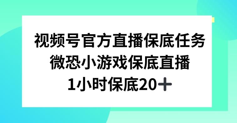 视频号直播任务，微恐小游戏，1小时20+【揭秘】-俗人圈网创