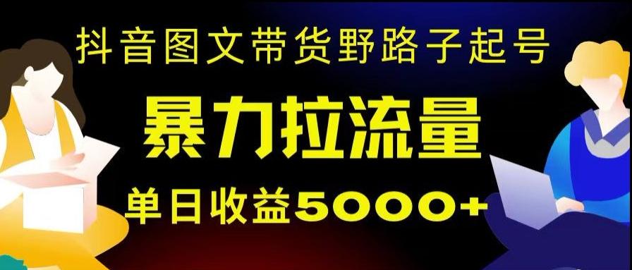 抖音图文带货暴力起号,单日收益5000+,野路子玩法,简单易上手,一部手机即可【揭秘】-俗人圈网创