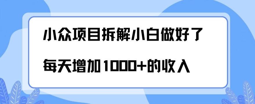 小众项目拆解，小白做好了每天可增加1000多的收入-俗人圈网创