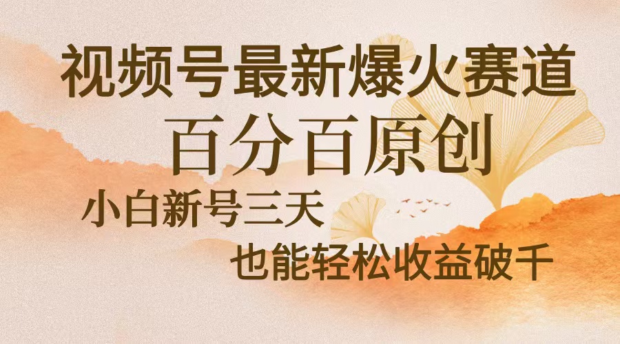 视频号最新爆火赛道，中老年粉深信不疑，百分百原创，新号三天收益轻松…-俗人圈网创