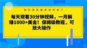 每天观看30分钟视频，一月躺赚1000+美金！保姆级教程，可放大操作【揭秘】-俗人圈网创