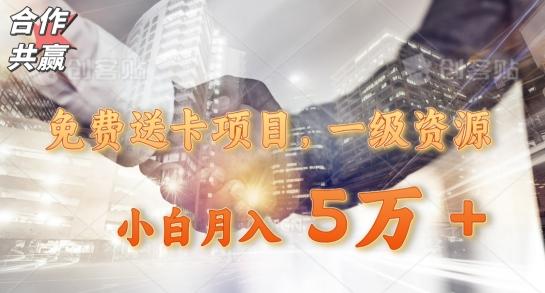 免费送卡项目，一级资源，小白月入5万+-俗人圈网创