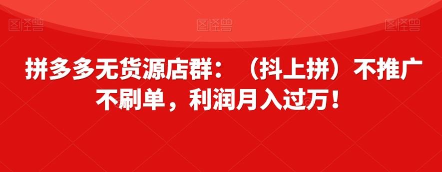 拼多多无货源店群：（抖上拼）不推广不刷单，利润月入过万！【揭秘】-俗人圈网创