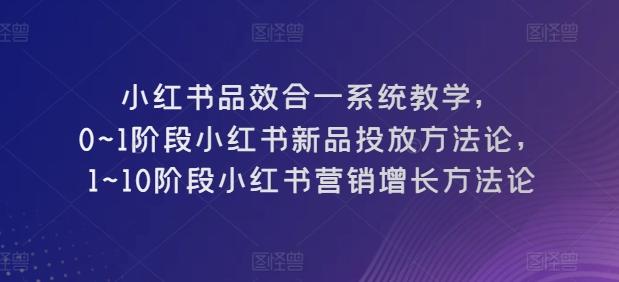 小红书品效合一系统教学,0~1阶段小红书新品投放方法论,1~10阶段小红书营销增长方法论-俗人圈网创