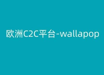 欧洲C2C平台-wallapop-kim跨境电商教程-俗人圈网创