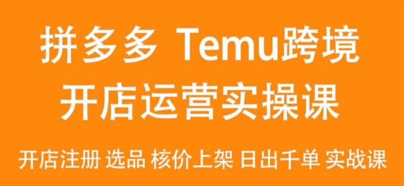 2024Temu最新玩法，Temu跨境开店运营实操课，开店注册/选品/核价上架/日出千单实战课-俗人圈网创