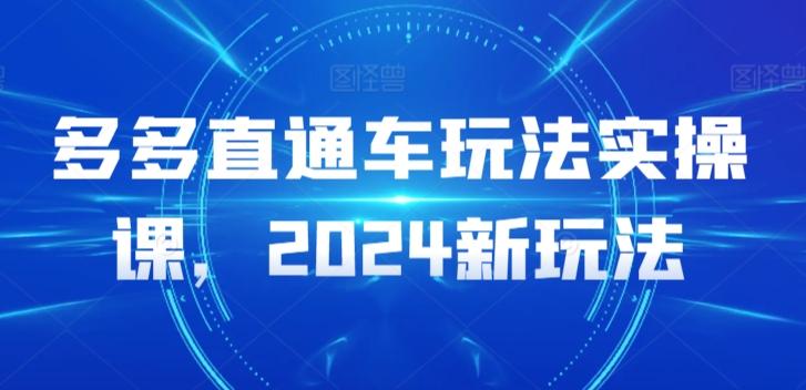 多多直通车玩法实操课，2024新玩法-俗人圈网创