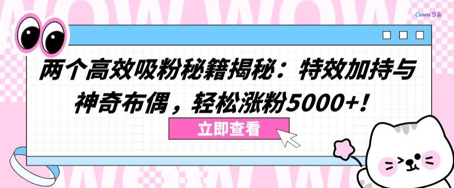 两个高效吸粉秘籍揭秘：特效加持与神奇布偶，轻松涨粉5000+【揭秘】-俗人圈网创
