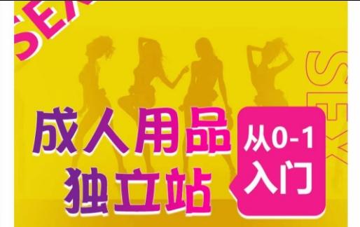 成人用品独立站从0-1入门，成品独立站运营全流程教学，七大好卖成品独立站推荐-俗人圈网创