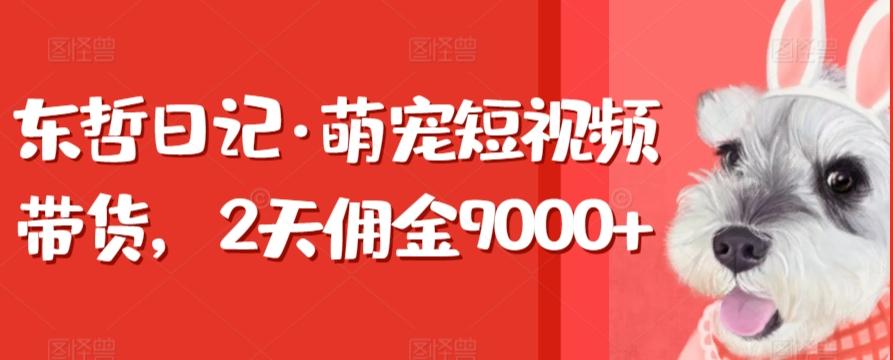 东哲日记·萌宠短视频带货，2天佣金9000+-俗人圈网创