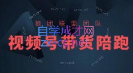 狼团联盟·2024视频号带货-俗人圈网创