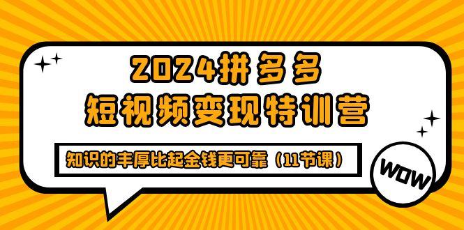 (9817期)2024拼多多短视频变现特训营，知识的丰厚比起金钱更可靠(11节课)-俗人圈网创