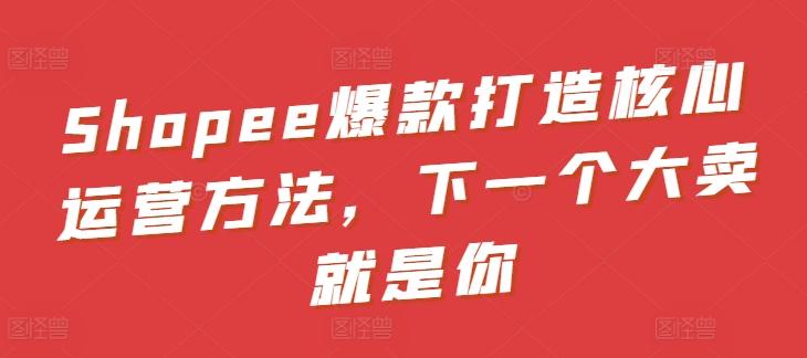 Shopee爆款打造核心运营方法，下一个大卖就是你-俗人圈网创