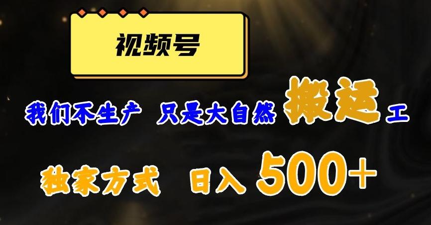 视频号轻松搬运日赚500+,一个1分钟1条原创视频【揭秘】-俗人圈网创
