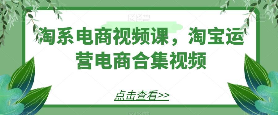 淘系电商视频课，淘宝运营电商合集视频-俗人圈网创