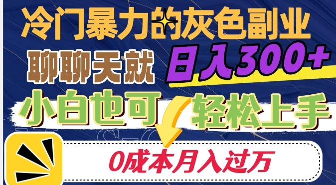 冷门暴利的副业项目，聊聊天就能日入300+，0成本月入过万【揭秘】-俗人圈网创