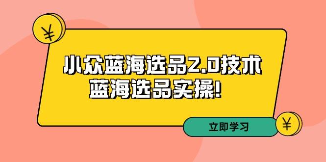 拼多多培训第33期：小众蓝海选品2.0技术-蓝海选品实操！-俗人圈网创