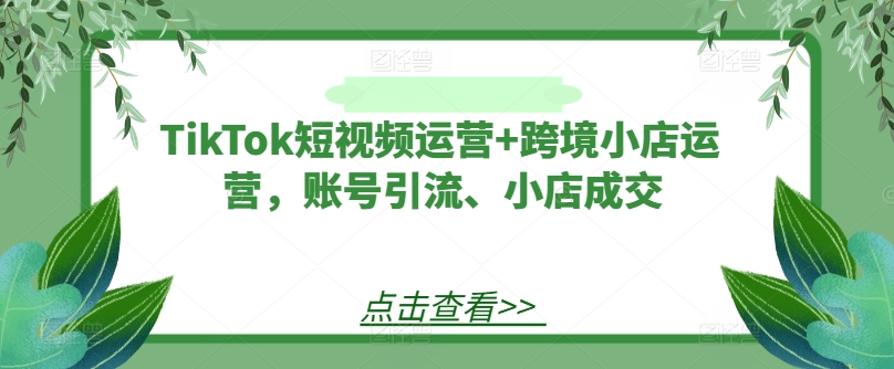 TikTok短视频运营+跨境小店运营，账号引流、小店成交-俗人圈网创