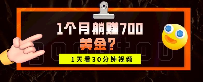 1天看30分钟视频，1个月躺赚700美金？-俗人圈网创