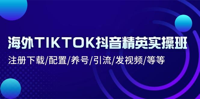 海外TIKTOK抖音精英实操班：注册下载/配置/养号/引流/发视频/等等-俗人圈网创