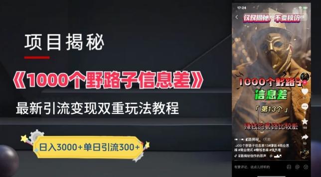 一千个野路子信息差最新玩法教程-变现+引流的玩法具体拆解【揭秘】-俗人圈网创