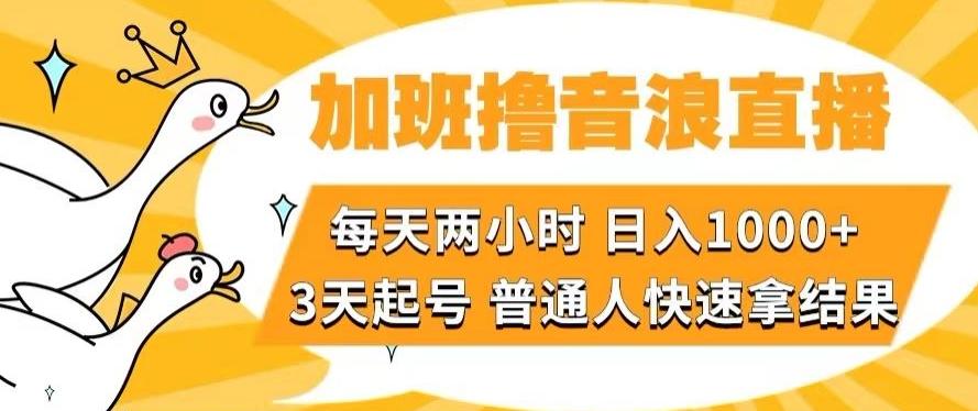 加班撸音浪直播，每天两小时，日入1000+，直播话术才3句，3天起号，普通人快速拿结果【揭秘】-俗人圈网创