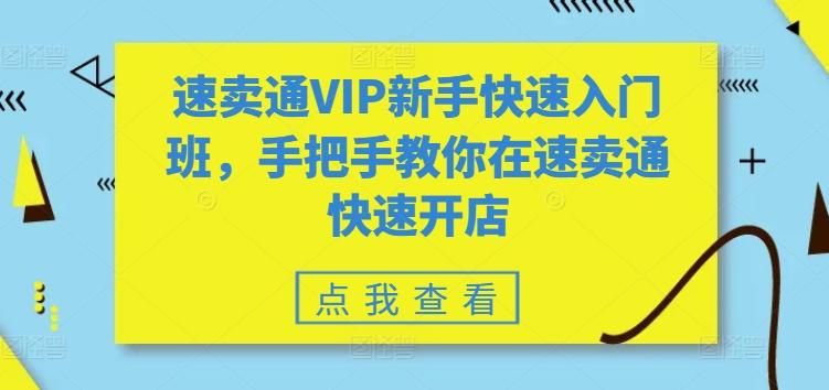 速卖通VIP新手快速入门班，手把手教你在速卖通快速开店-俗人圈网创