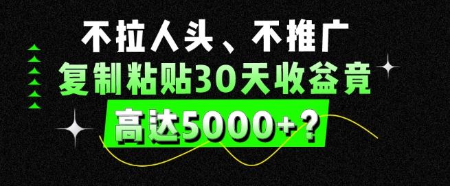 不拉人头、不推广，复制粘贴30天收益竟高达5000+？-俗人圈网创