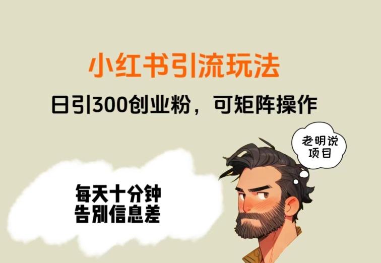 靠小红书视频日印300粉，两分钟一个视频轻松矩阵-俗人圈网创