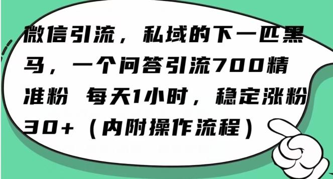 怎么搞精准创业粉？微信新赛道，每天一小时，利用Ai一个问答日引100精准粉-俗人圈网创