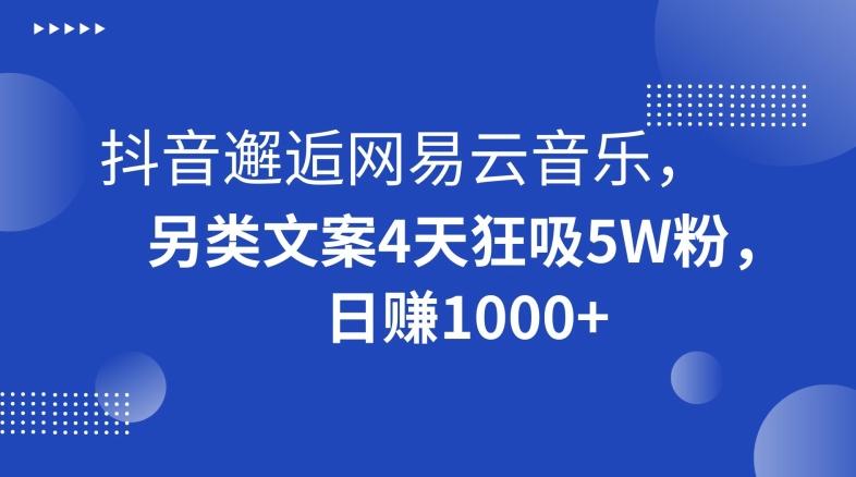 抖音邂逅网易云音乐，另类文案4天狂吸5W粉，日赚1000+【揭秘】-俗人圈网创