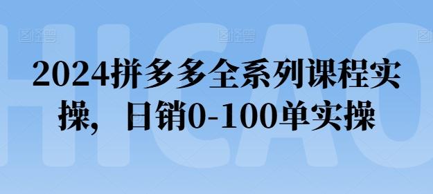 2024拼多多全系列课程实操,日销0-100单实操【必看】