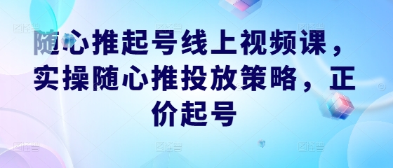 随心推起号线上视频课,实操随心推投放策略,正价起号