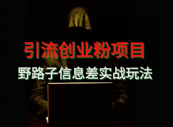 【引流创业粉】野路子信息差玩法实战教学-俗人圈网创