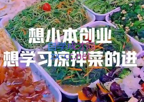 李记·精品凉拌菜系列热卤系列教程-俗人圈网创